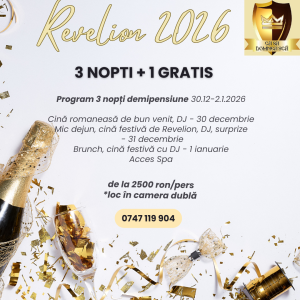 Oferte Revelion CD 2026 png